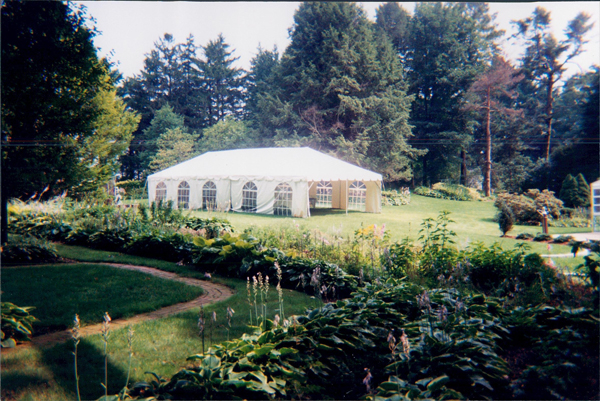 20x50 frame